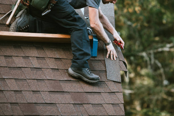 Best Shingle Roofing Installation  in Presquille, LA
